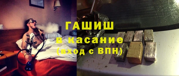 индика Арсеньев