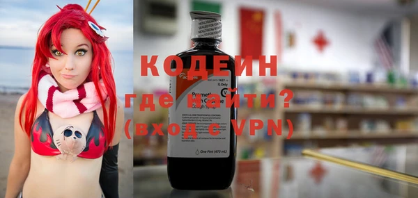 индика Арсеньев
