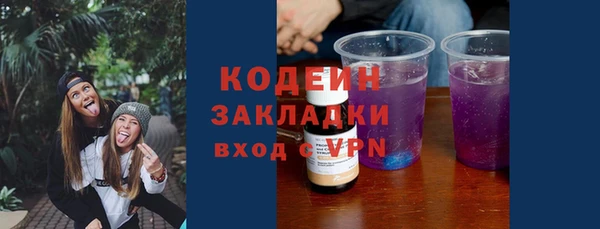 индика Арсеньев