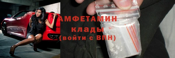 индика Арсеньев