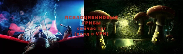 индика Арсеньев