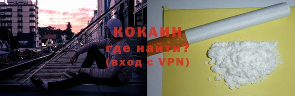 индика Арсеньев