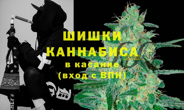индика Арсеньев