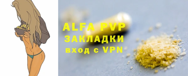 индика Арсеньев
