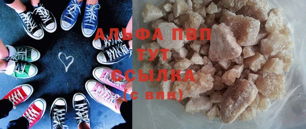 индика Арсеньев