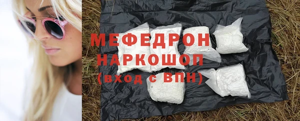 индика Арсеньев