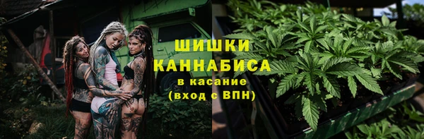индика Арсеньев