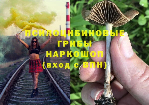 jwh Аркадак