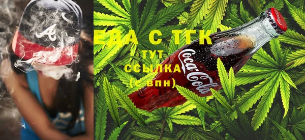 индика Арсеньев
