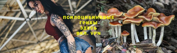 винт Новозыбков