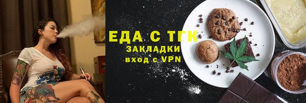 индика Арсеньев