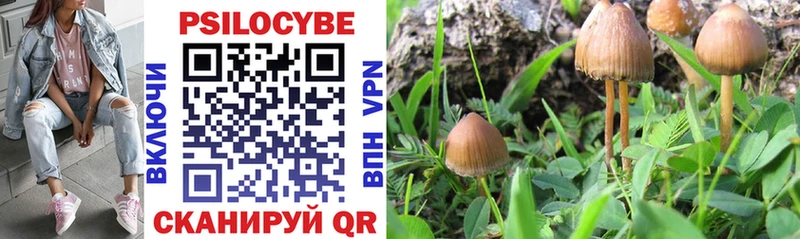 Псилоцибиновые грибы мицелий  Суворов 